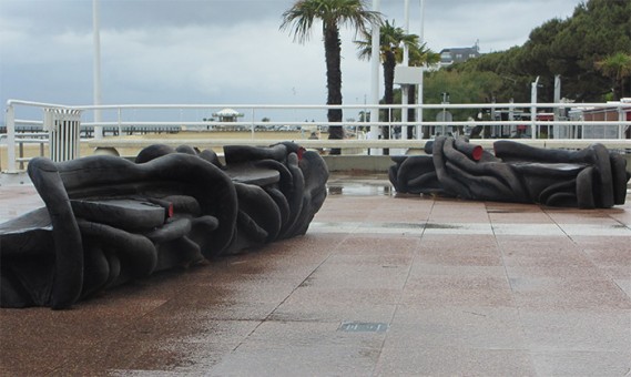 Systèmes racinaires